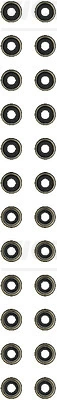 Seal Set, valve stem